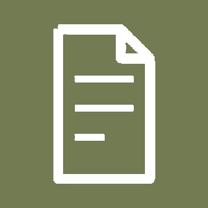 PDF-Dokument